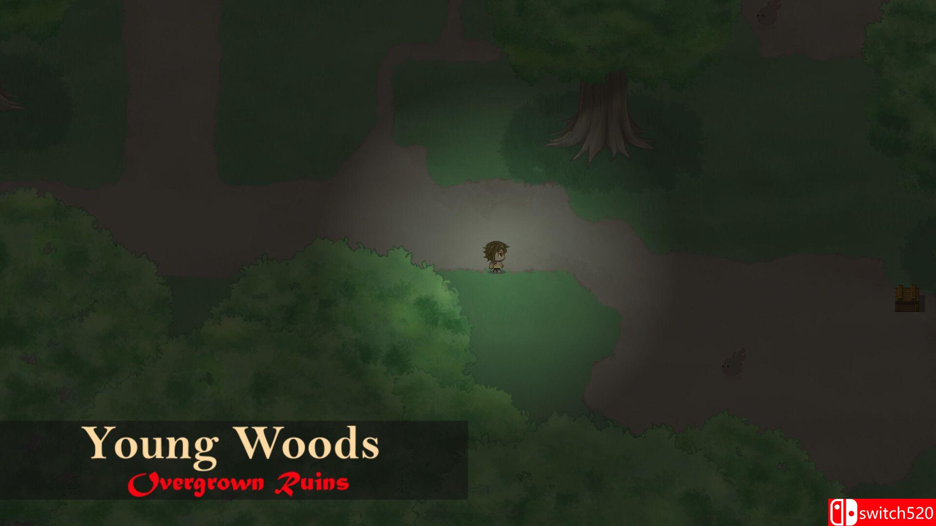 《影子皮肤童话》游戏截图3