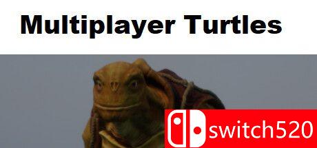 《多人海龟（Multiplayer Turtles）》游戏封面图