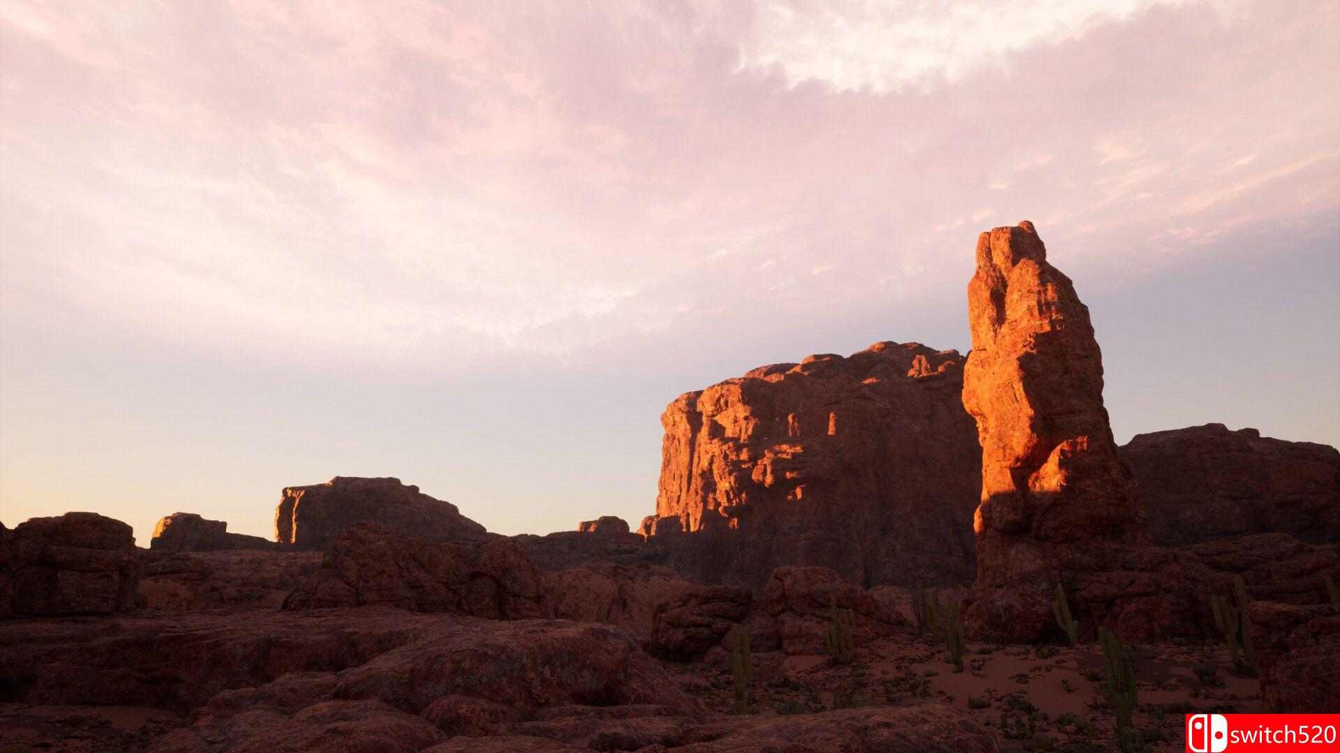 《自然之声》游戏截图1