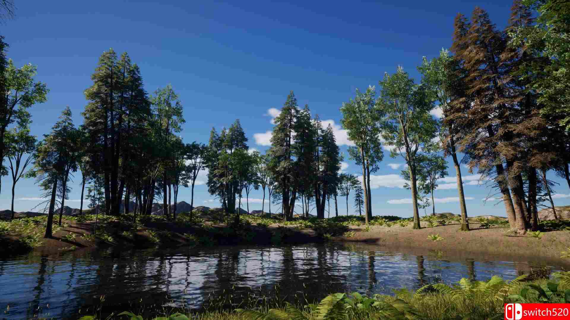 《自然之声》游戏截图2