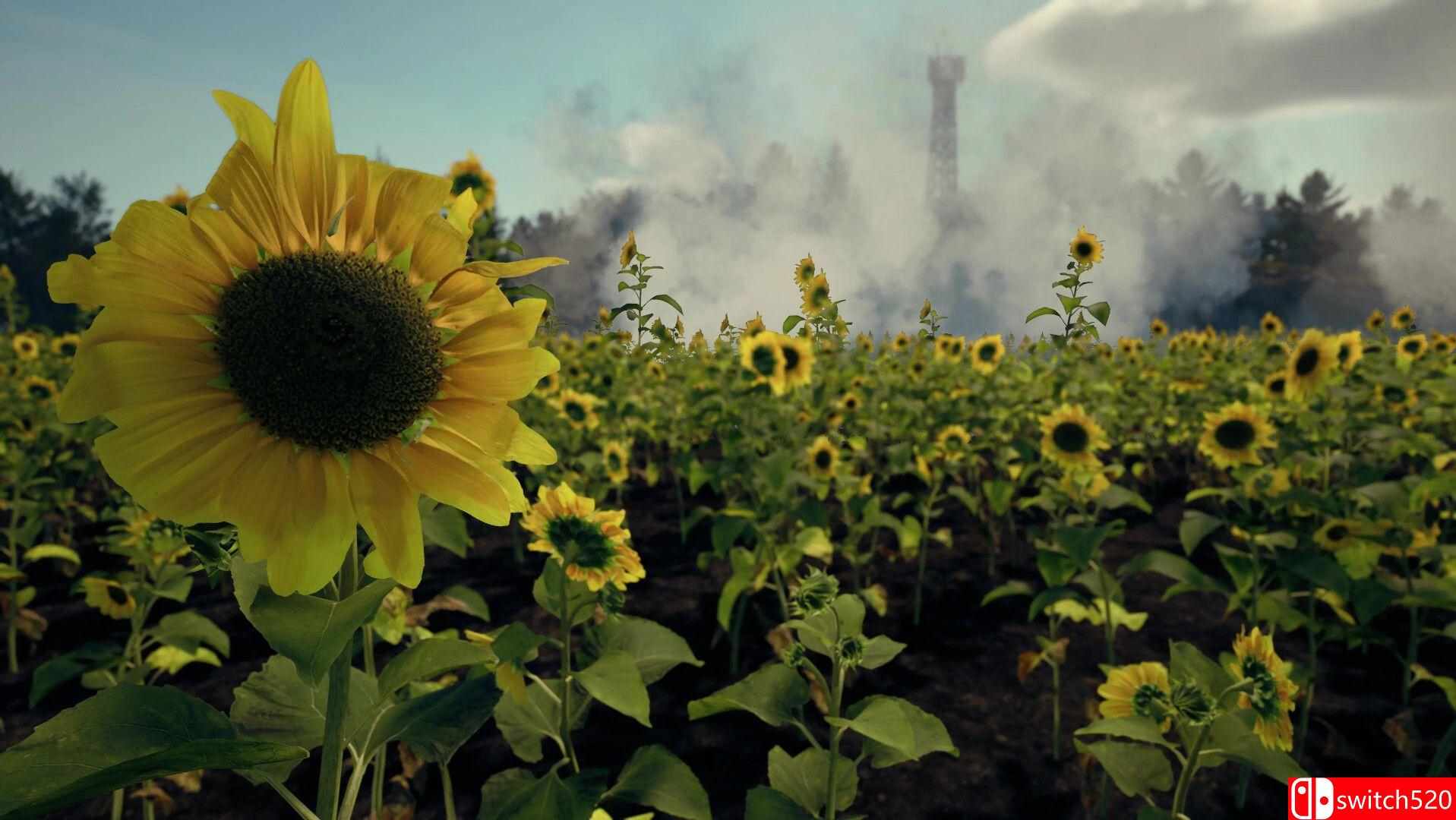 《死于非命（Death From Above）》Early Access P2P硬盘版[EN]_4