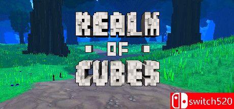 《方块王国（Realm of Cubes）》游戏封面
