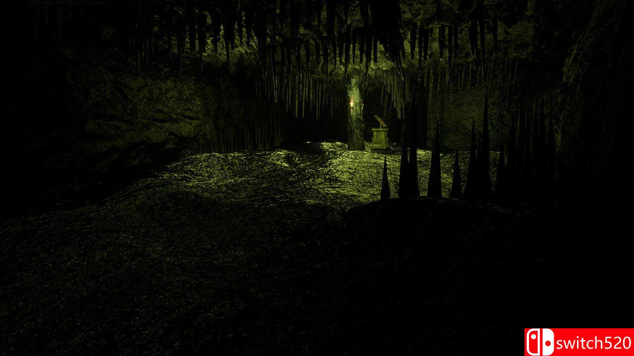 《最后的解谜者（The Last Solver）》TENOKE镜像版[EN]_1