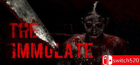 《焚烧（The Immolate）》游戏封面