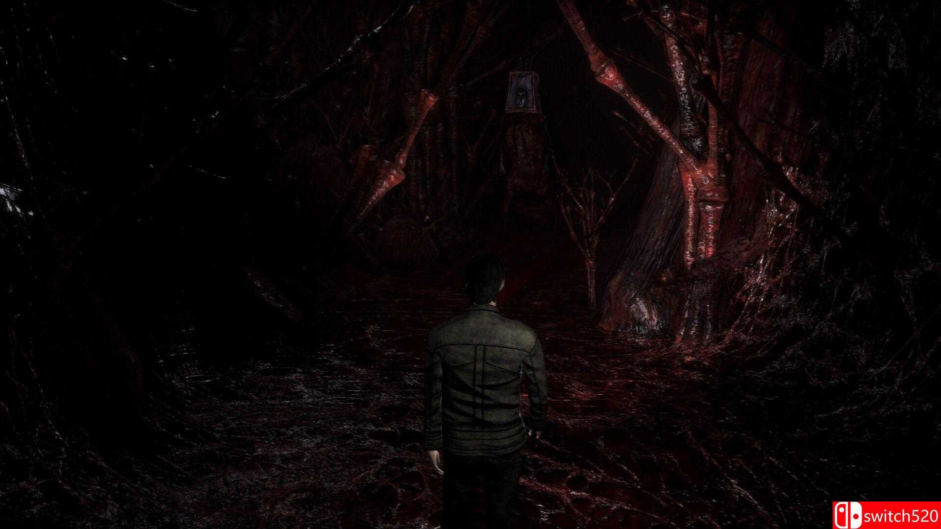 《冰雪花园》游戏截图2