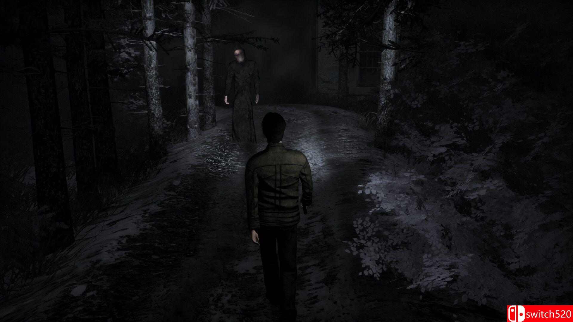 《冰雪花园》游戏截图4