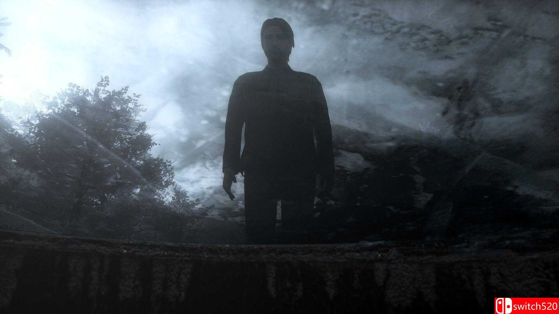 《冰雪花园》游戏截图5