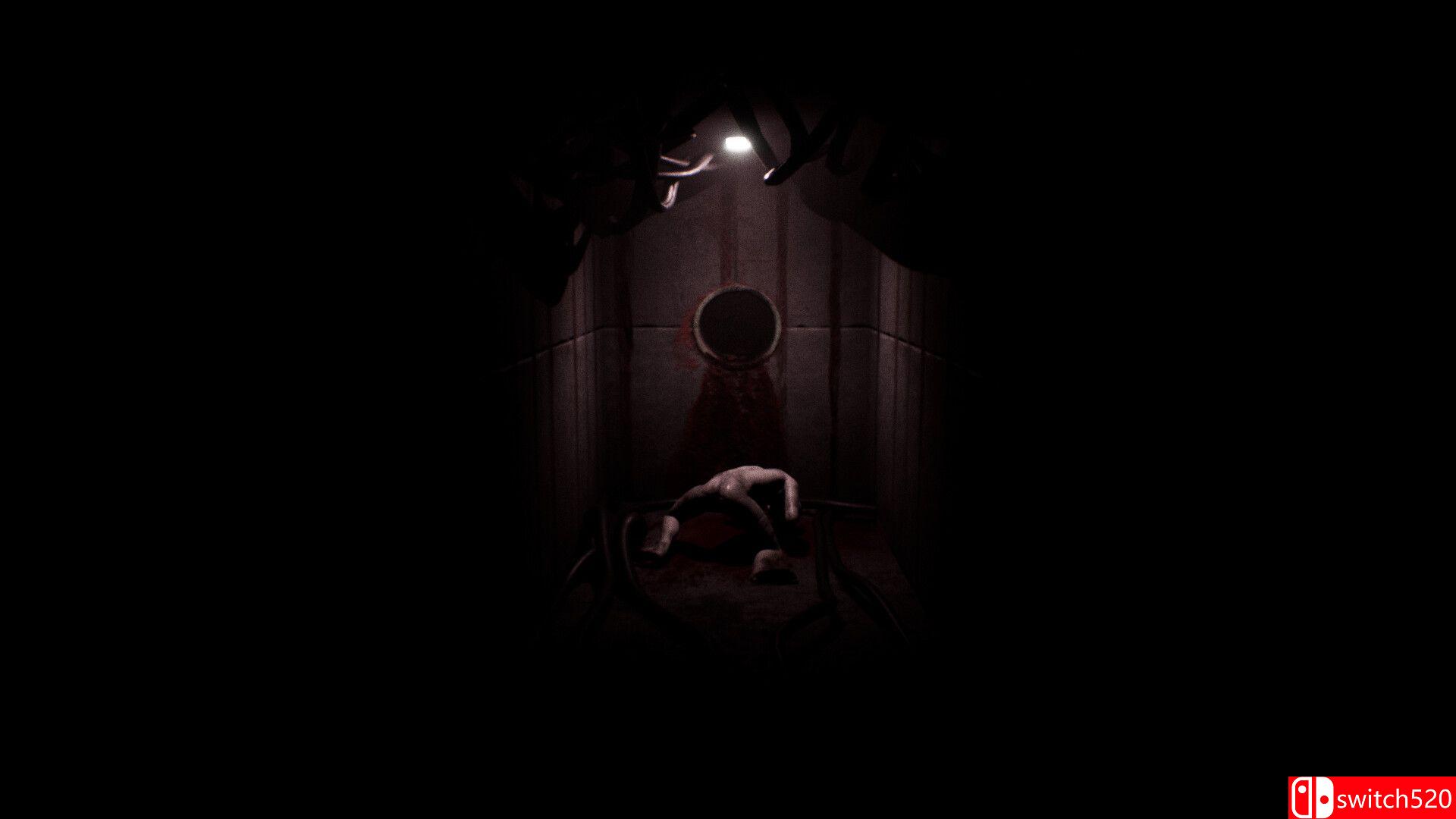 《[主题]（[SUBJECT]）》官方中文 TENOKE镜像版[EN]_4