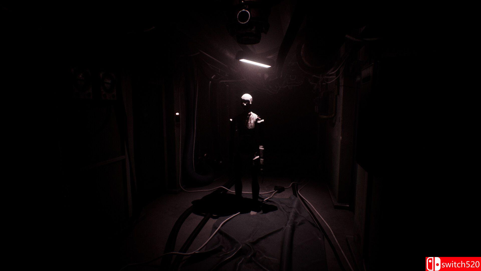 《[主题]（[SUBJECT]）》官方中文 TENOKE镜像版[EN]_1