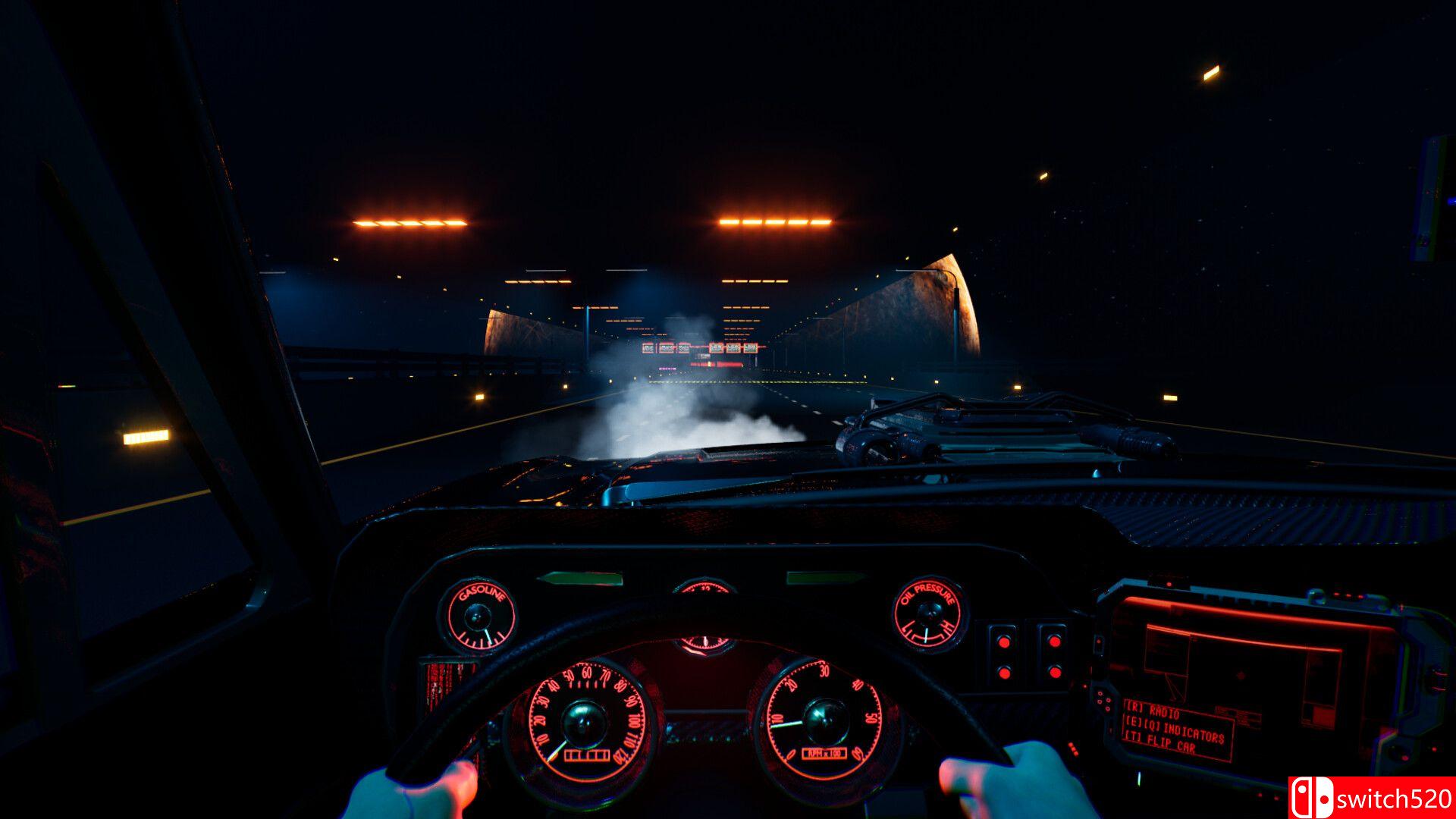 《赛博空间驾驶员》截图4