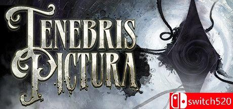 《暗黑绘画（Tenebris Pictura）》官方中文版封面图