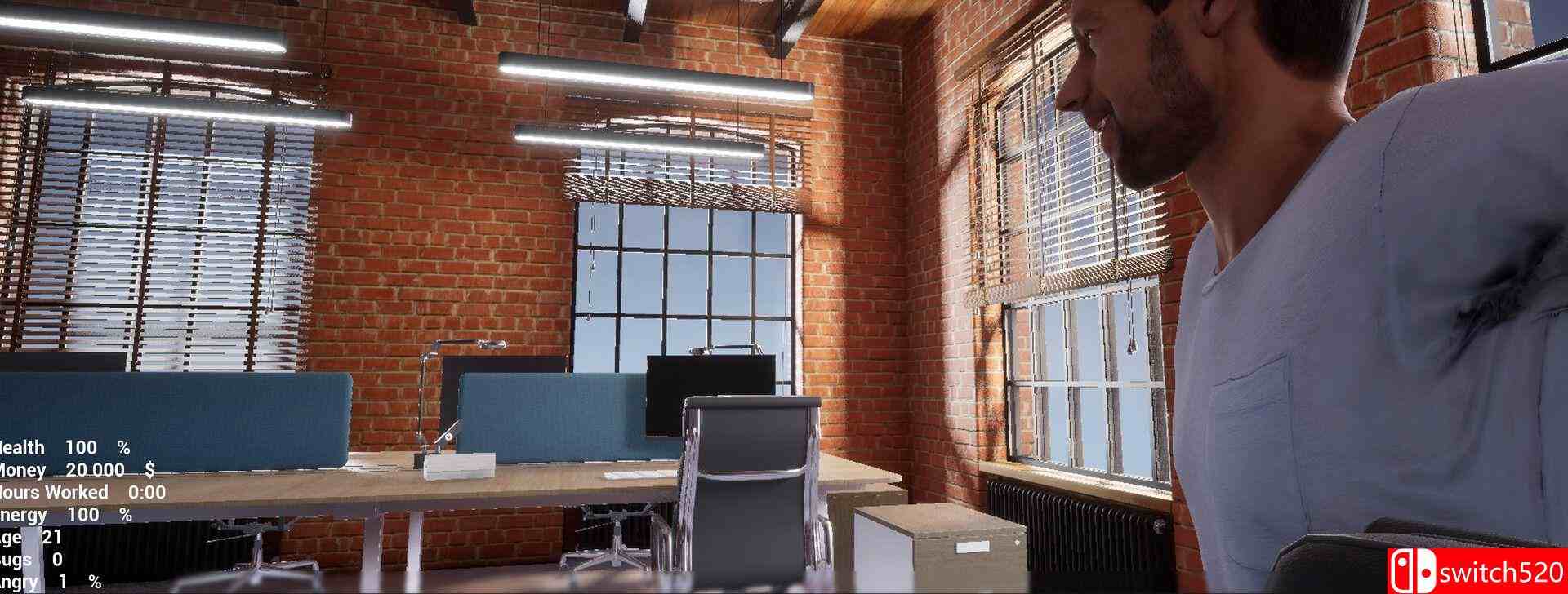 《空闲开发（IdleDev）》TENOKE镜像版[EN/JP]_3