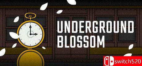 《地铁繁花（Underground Blossom）》官方中文 rG硬盘版封面图