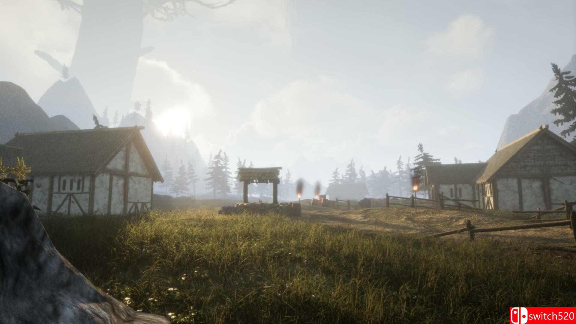 沃斯菲亚游戏截图1