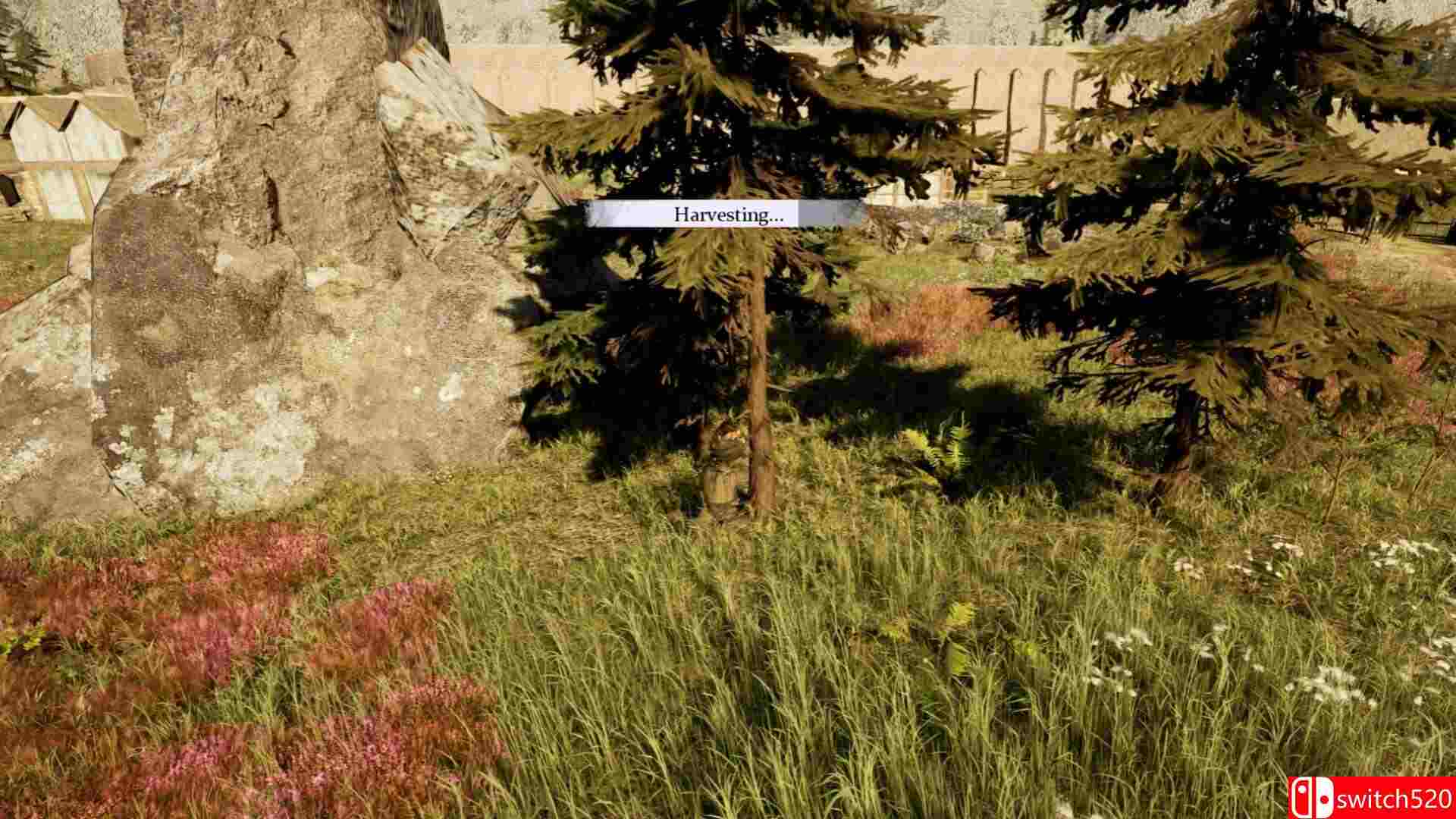 沃斯菲亚游戏截图5