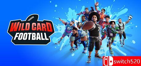 《野卡橄榄球（Wild Card Football）》游戏封面
