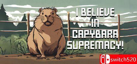 游戏《我相信水豚至上！》封面图