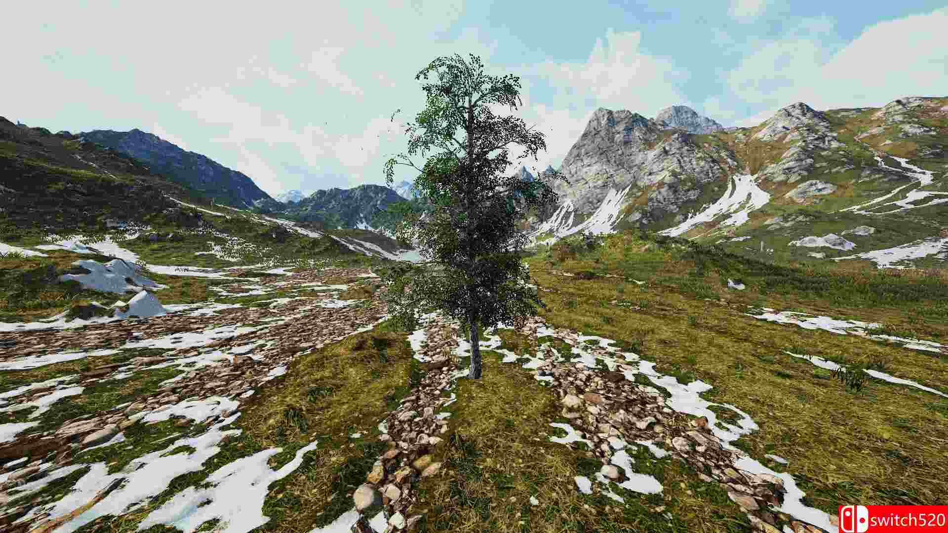 《桦树模拟器（Birch Simulator）》TENOKE镜像版[EN]_1