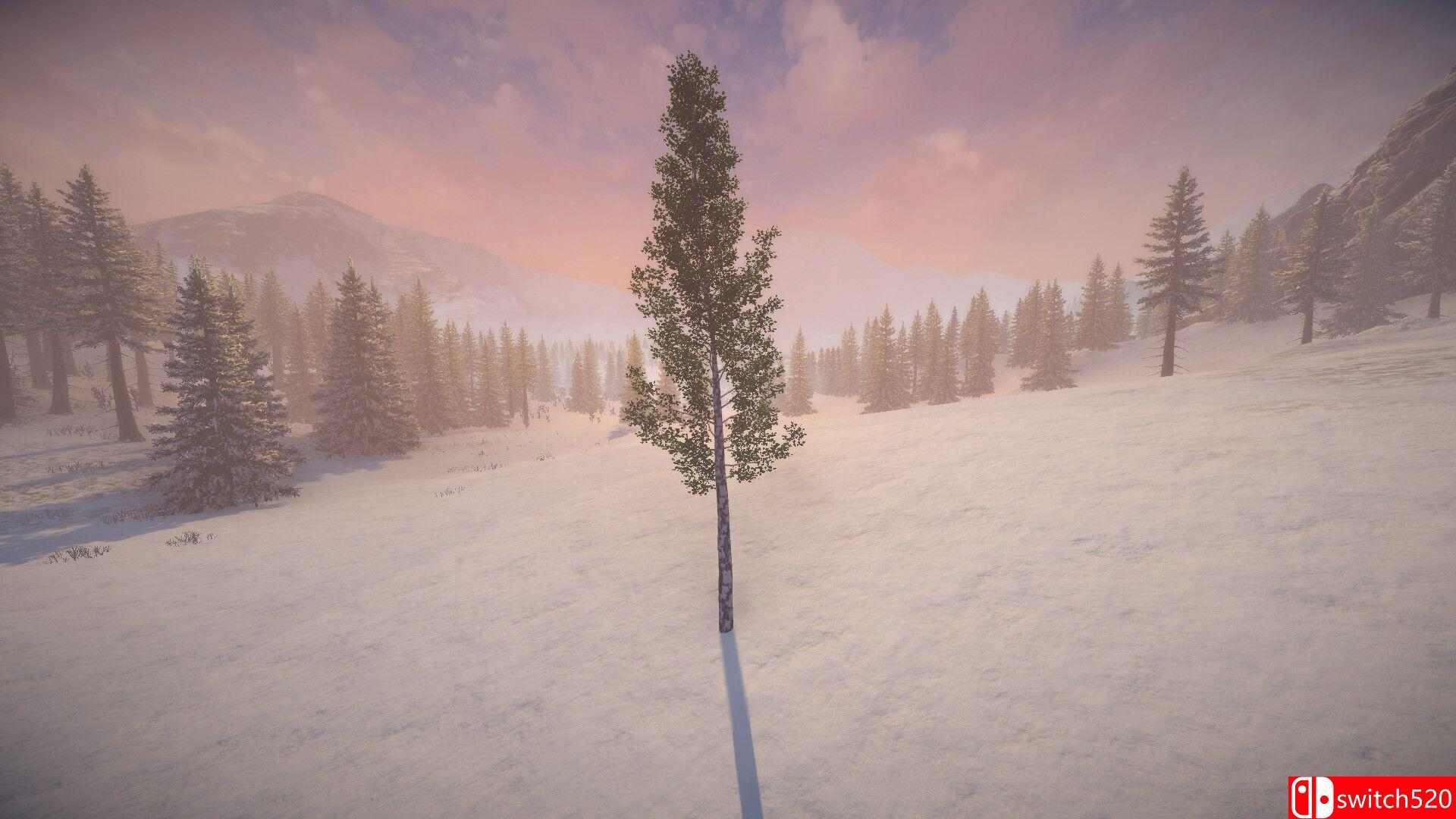 《桦树模拟器（Birch Simulator）》TENOKE镜像版[EN]_5