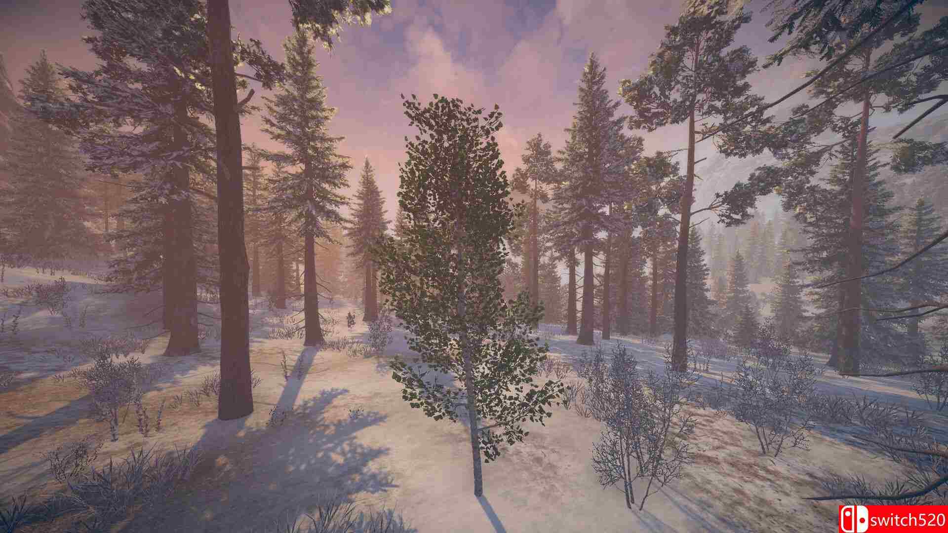 《桦树模拟器（Birch Simulator）》TENOKE镜像版[EN]_4