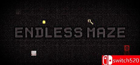 《无尽迷宫（Endless Maze）》游戏封面