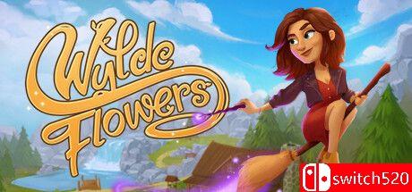 《怀德花卉（Wylde Flowers）》官方中文 TENOKE镜像版封面图