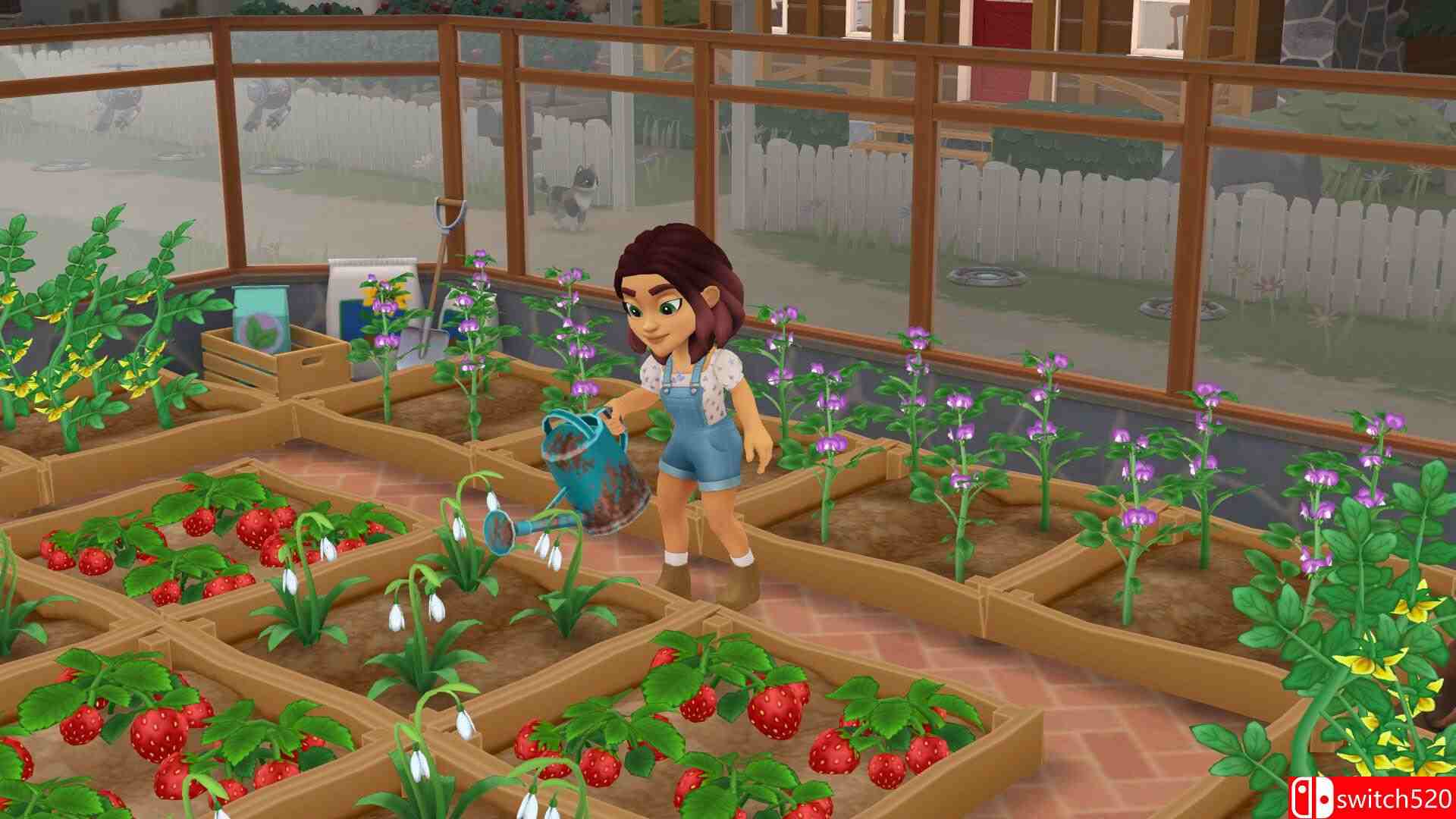 《怀德花卉》游戏截图1