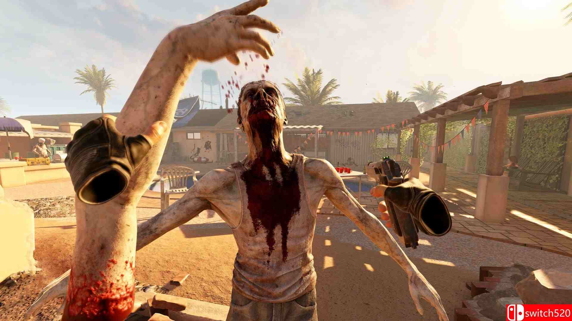 《亚利桑那阳光2》游戏截图5