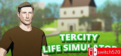 《特城生活模拟器》游戏封面