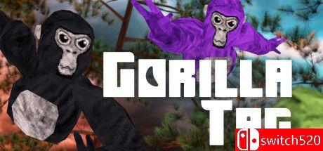 《大猩猩标签（Gorilla Tag）》游戏封面