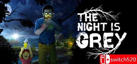 《灰色之夜（The Night is Grey）》v1.3 TENOKE镜像版封面图