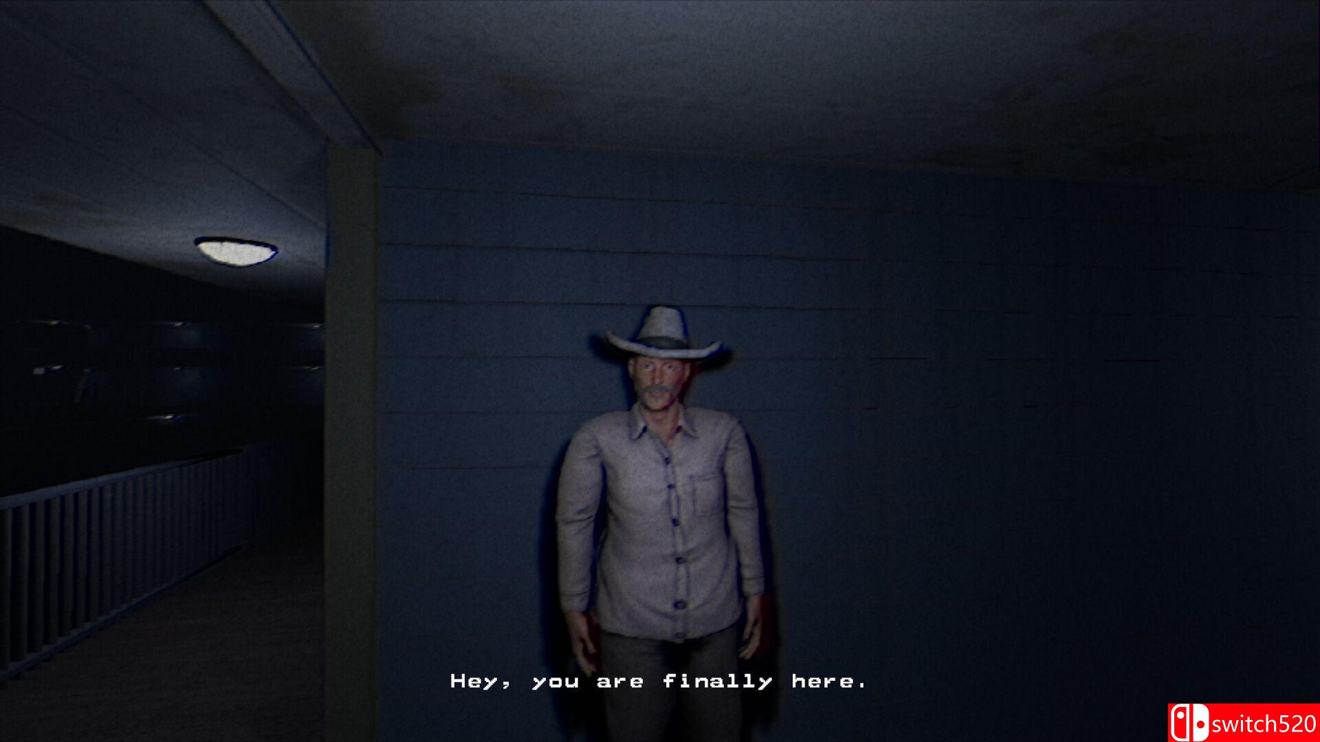 《VARDIA》游戏截图1