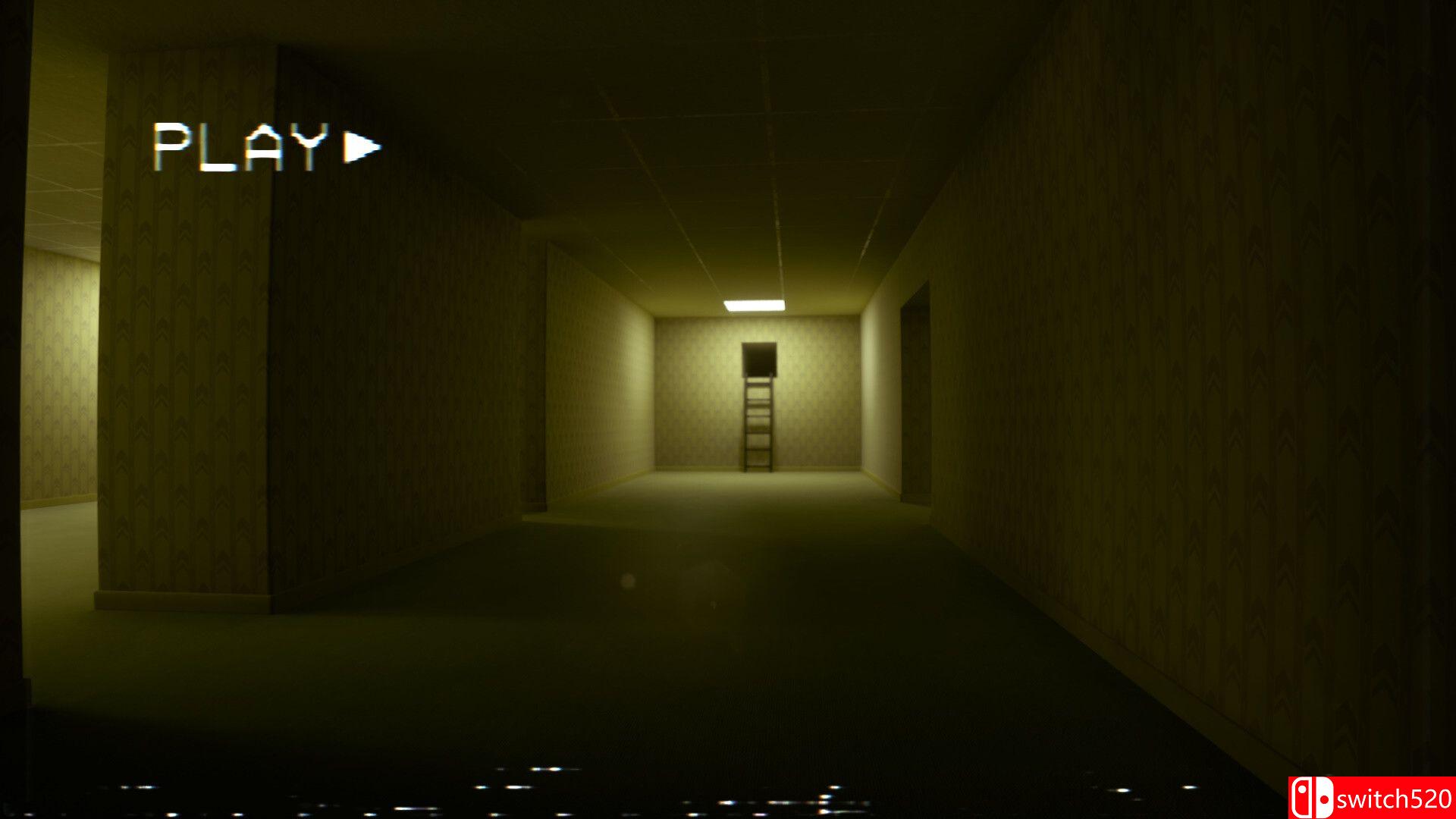 《密室：八层（Backrooms: Eight Levels）》TENOKE镜像版[EN]_4