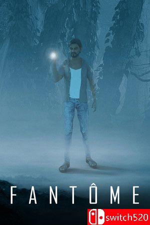 《幻想（Fantôme）》官方中文 SKIDROW镜像版封面图