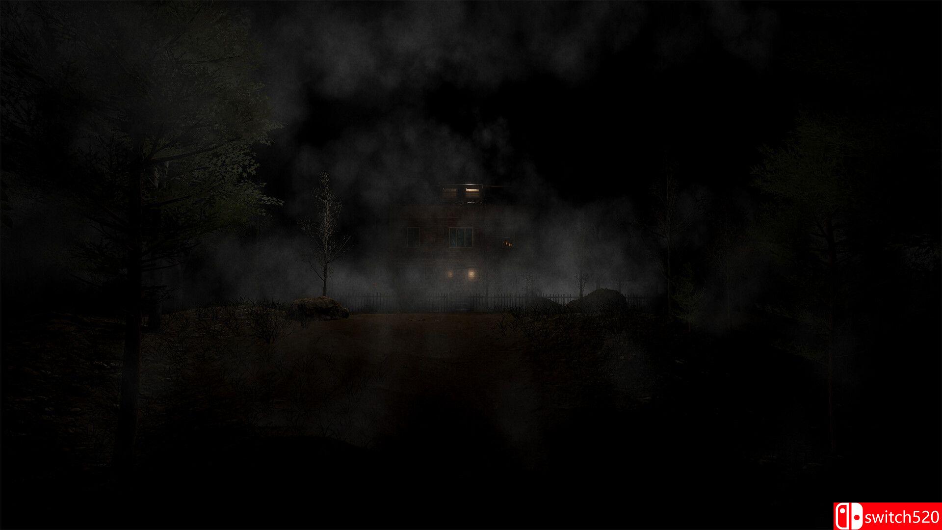 《Y.村庄:游客》游戏截图2