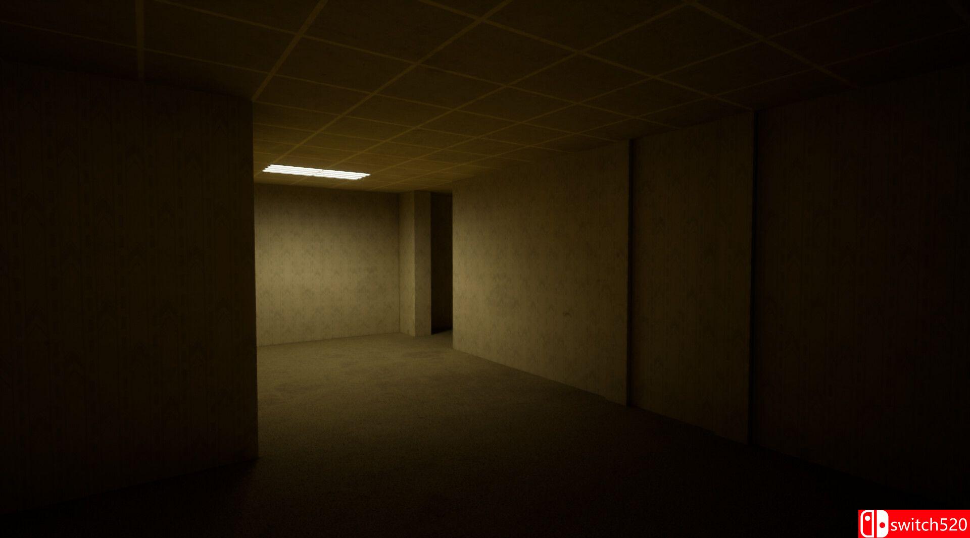 后室豪华版游戏截图3