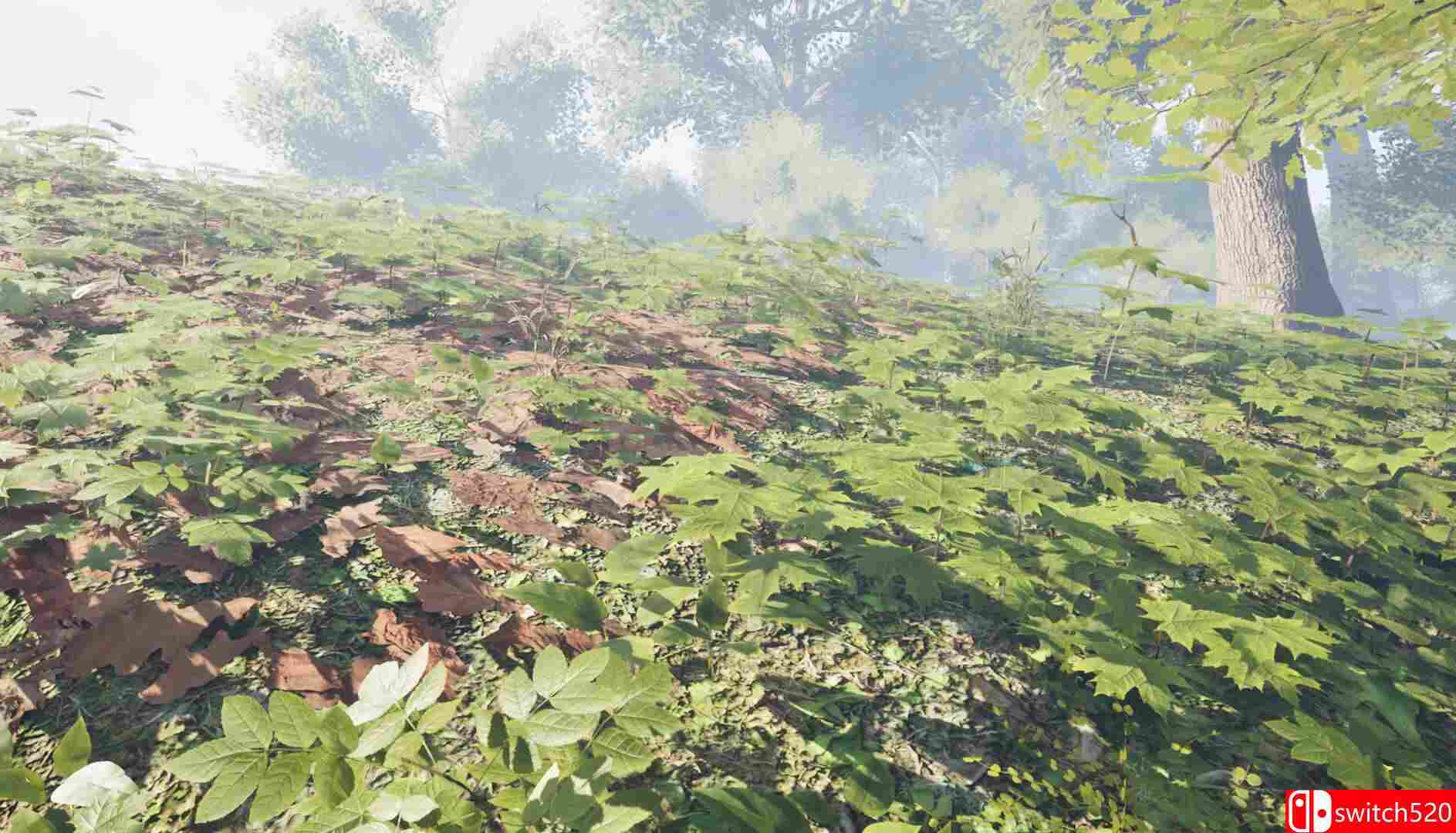 《草药猎人》游戏截图5