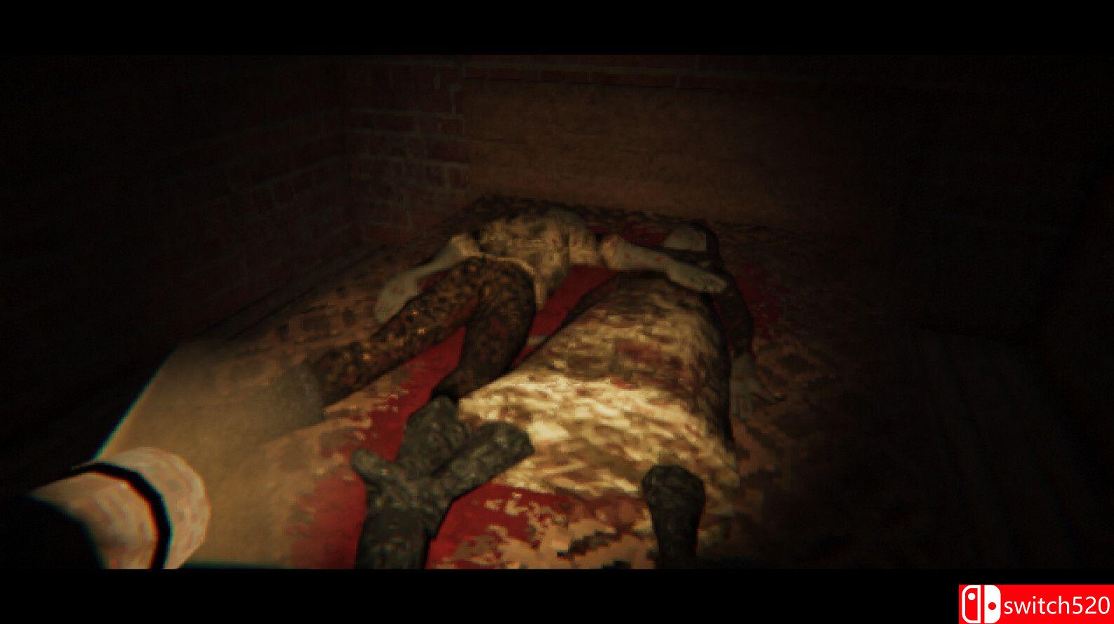 《希望已逝（Hope is Gone）》TENOKE镜像版[EN]_1