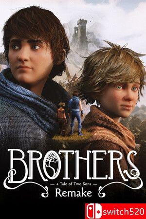 《兄弟：双子传说重制版》游戏封面