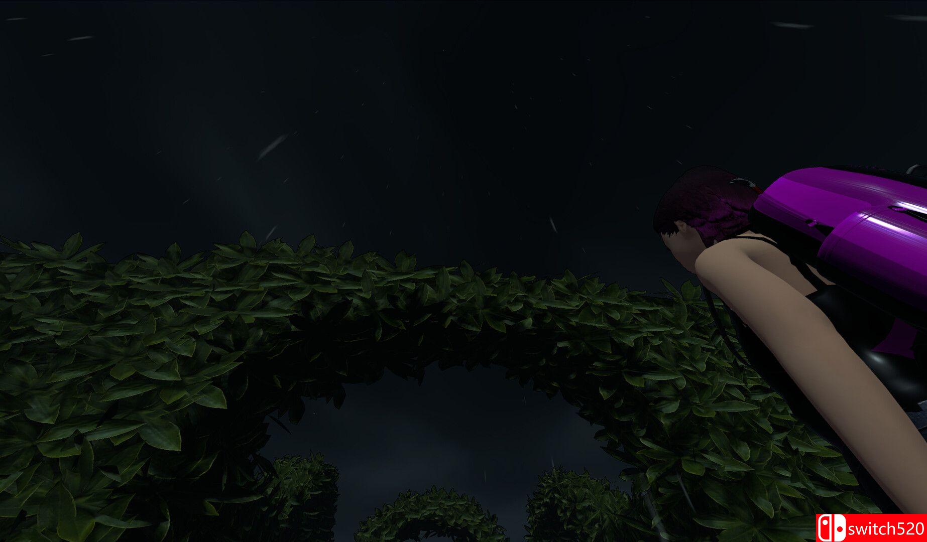 《髓之传说（Legend of Marrow）》TENOKE镜像版[EN]_2