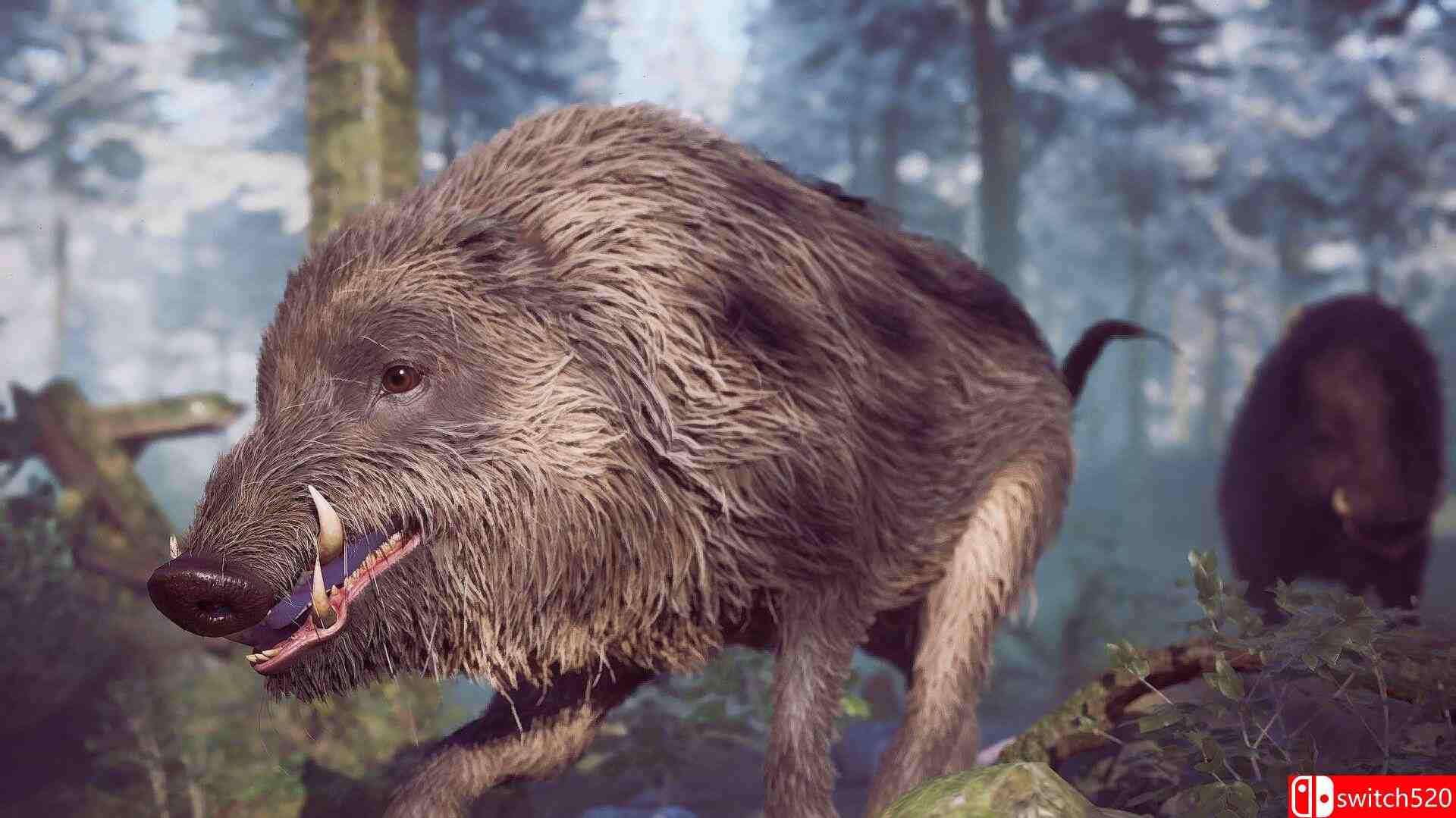 《冬日幸存者（Winter Survival）》官方中文 Early Access P2P硬盘版[CN/EN]_5