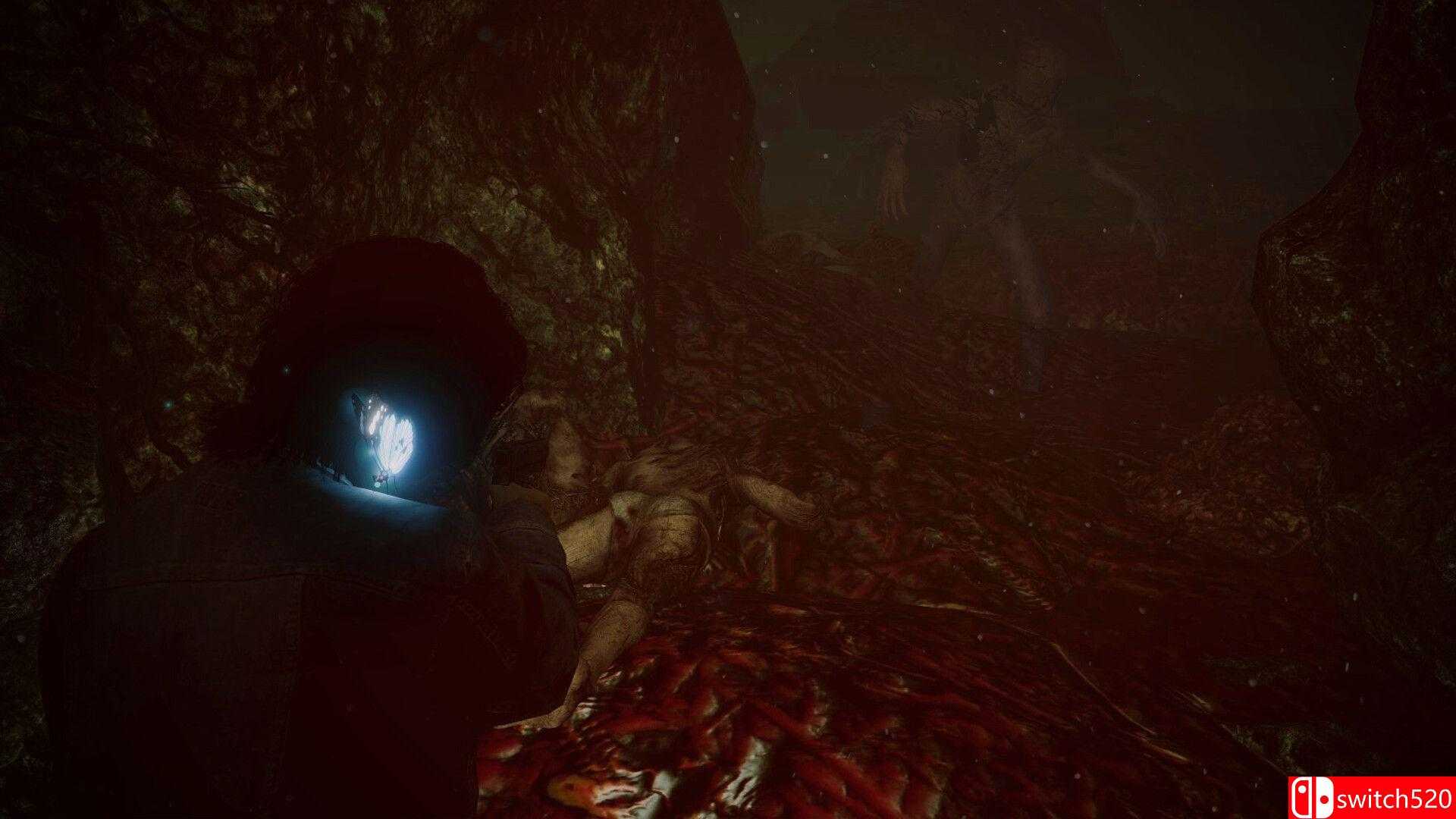 《夺魂》游戏截图3