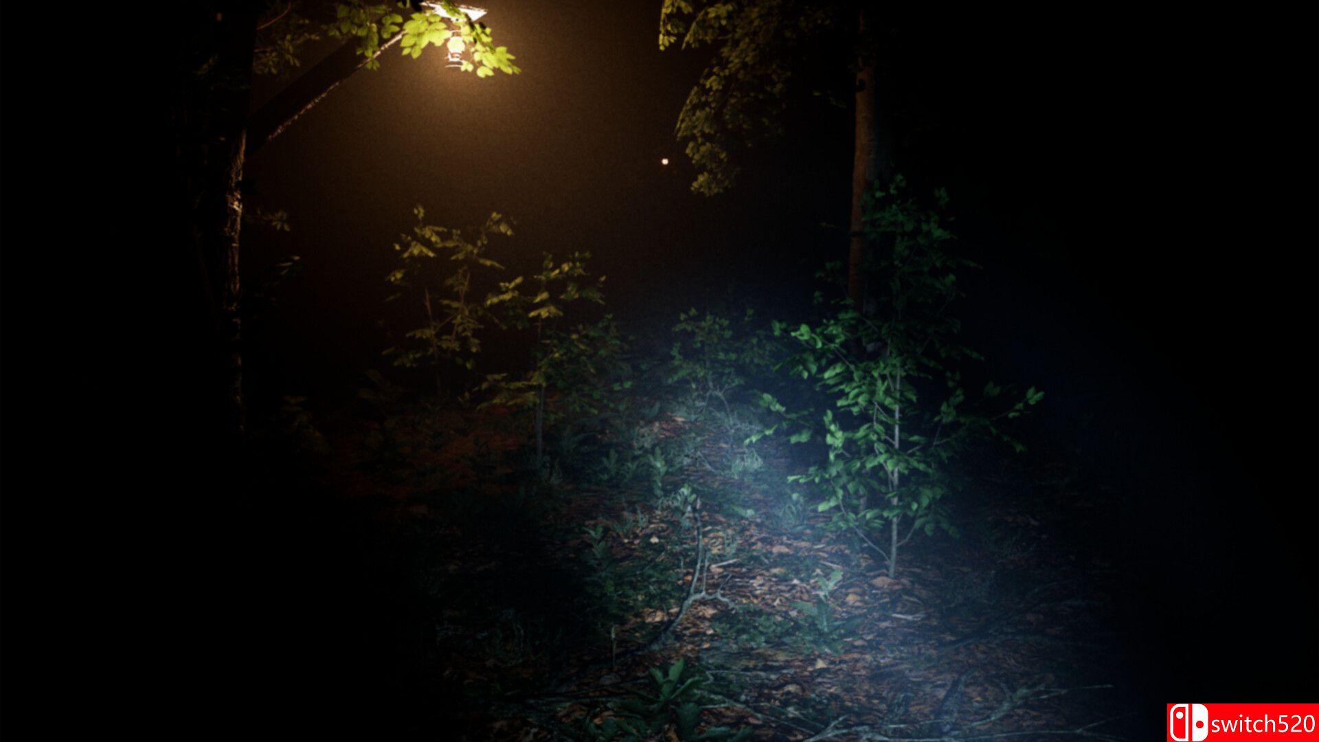 《亡灵：寂静呼唤》游戏截图5