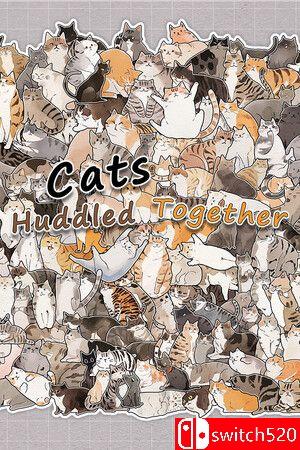 游戏《挤在一起的猫猫》封面图