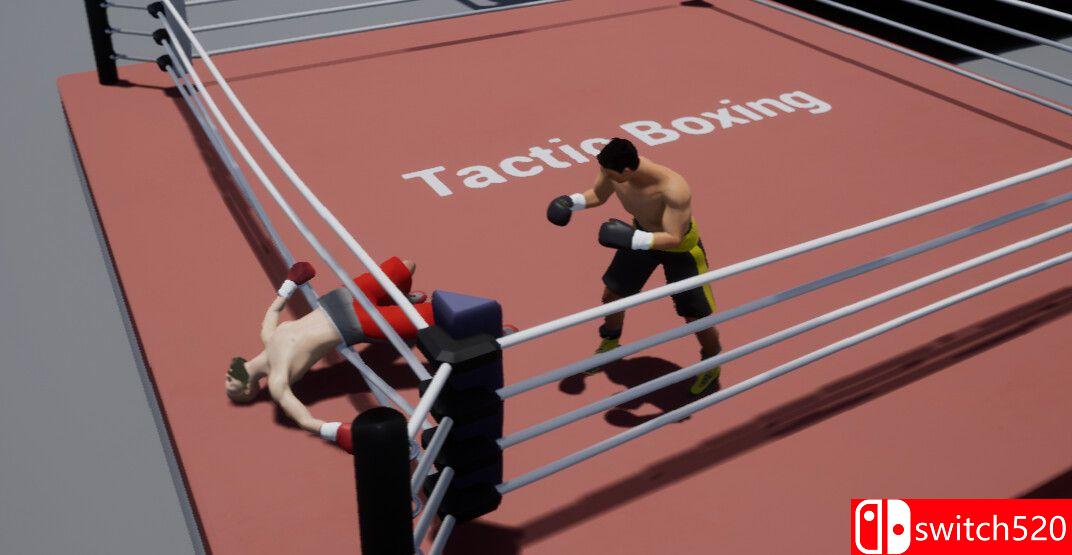 《战术拳击》游戏截图2