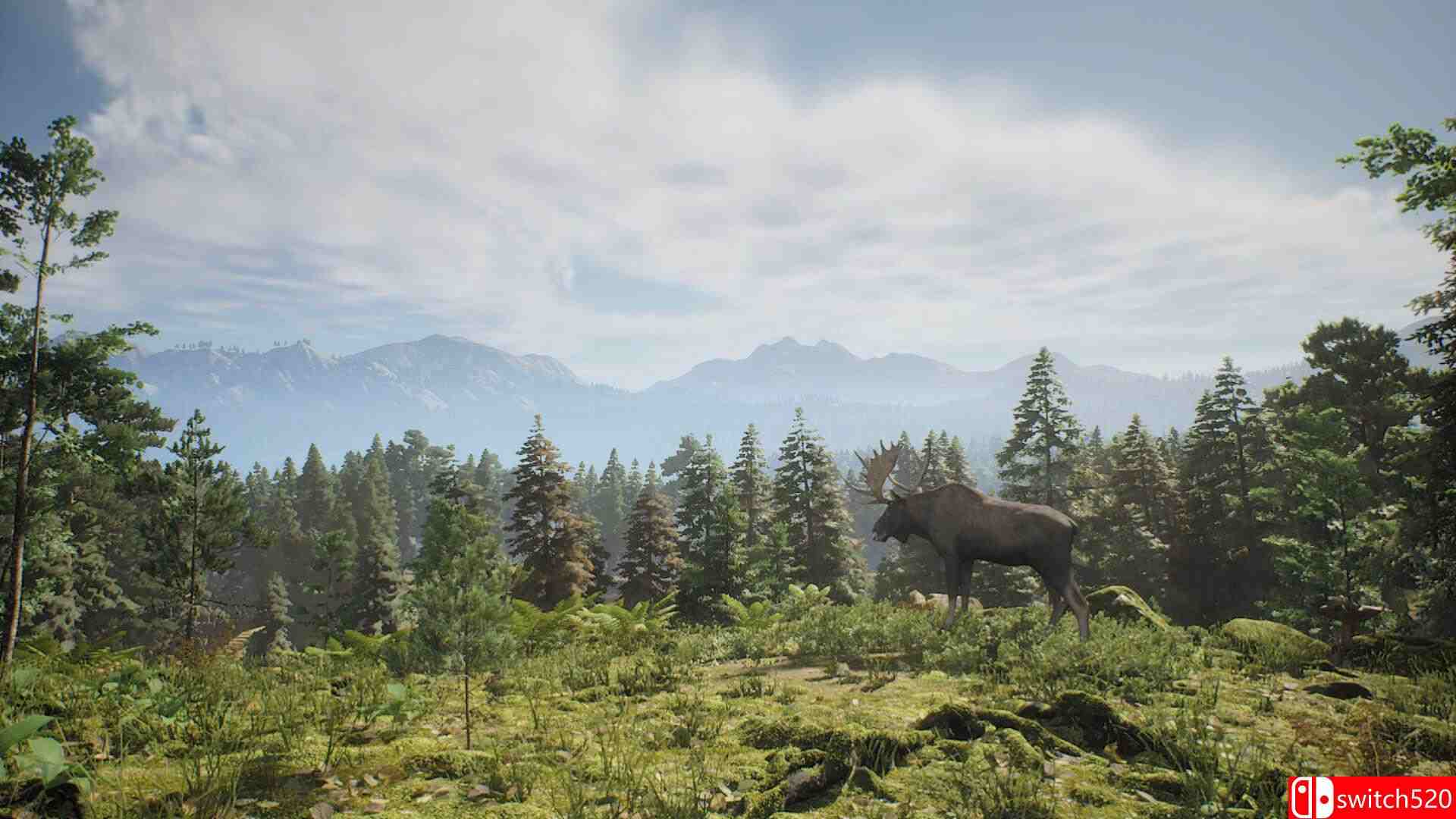 《狩猎计划》游戏截图2