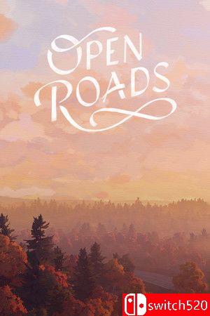 《开放之路（Open Roads）》游戏封面