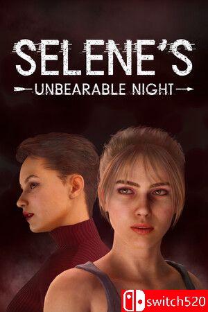 《塞琳的难熬之夜》游戏封面