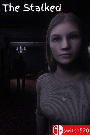 游戏《被追踪者》封面图