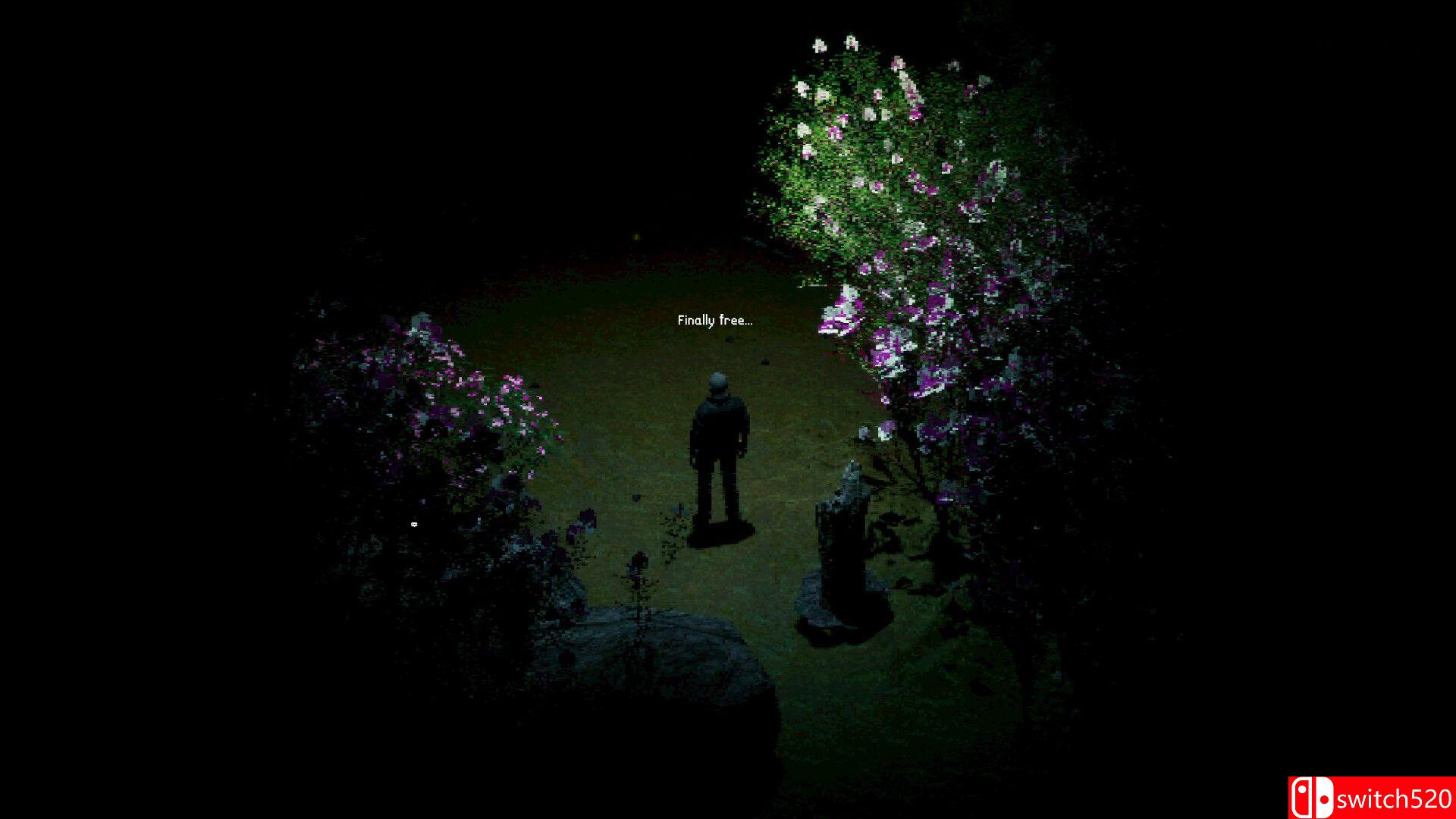 《终获自由（Finally Free）》TENOKE镜像版[EN]_1